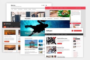 Super WP Theme Premium - Whitelabel Version