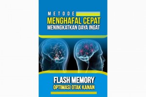 Flash Memory Optimasi Otak Kanan