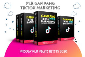 PLR TIKTOK MARKETING 2020