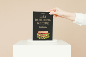 LIST BUILDING RECIPE