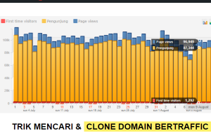 TRIK CARI DOMAIN BERVISITOR DARI HISTATS DAN ALEXA !!!